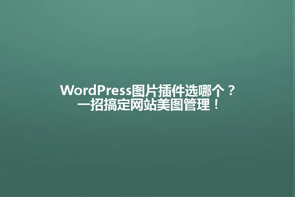 WordPress图片插件选哪个?一招搞定网站美图管理! 一
