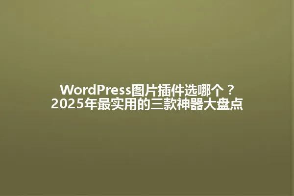 WordPress图片插件选哪个?2025年最实用的三款神器大盘点 一