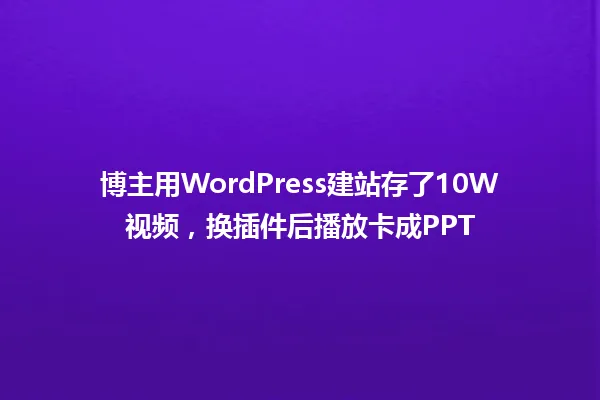 博主用WordPress建站存了10W视频,换插件后播放卡成PPT 一