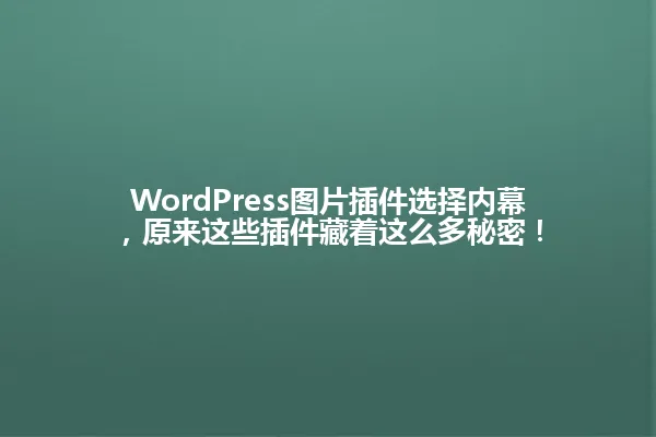 WordPress图片插件选择内幕,原来这些插件藏着这么多秘密! 一