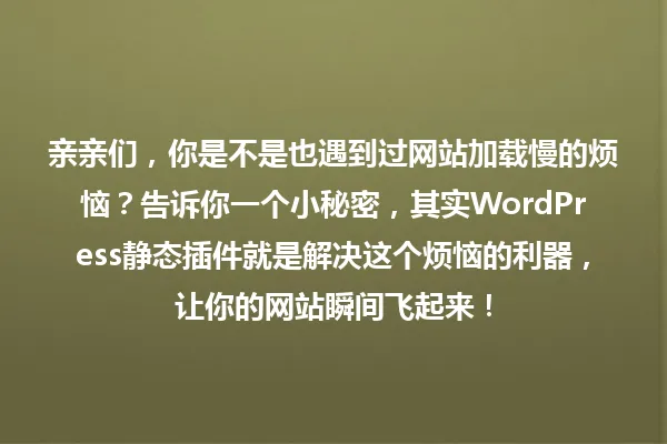 亲亲们,你是不是也遇到过网站加载慢的烦恼?告诉你一个小秘密,其实WordPress静态插件就是解决这个烦恼的利器,让你的网站瞬间飞起来! 一