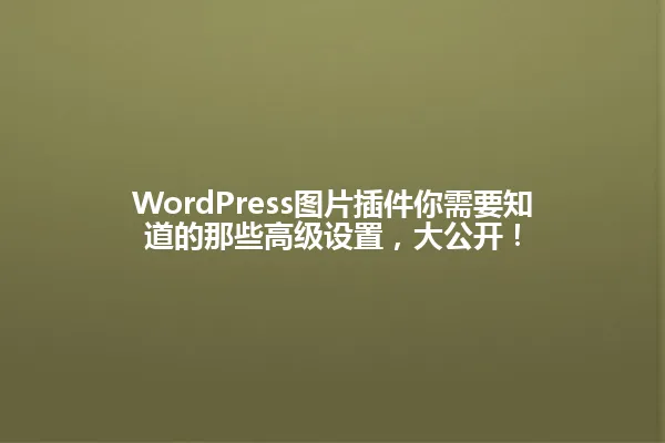 WordPress图片插件你需要知道的那些高级设置,大公开! 一