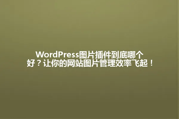 WordPress图片插件到底哪个好?让你的网站图片管理效率飞起! 一