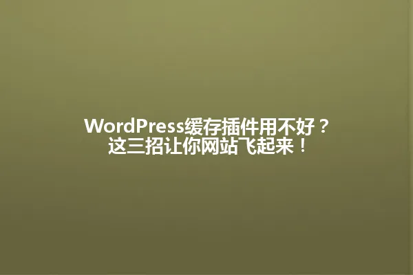 WordPress缓存插件用不好?这三招让你网站飞起来! 一