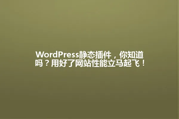 WordPress静态插件,你知道吗?用好了网站性能立马起飞! 一