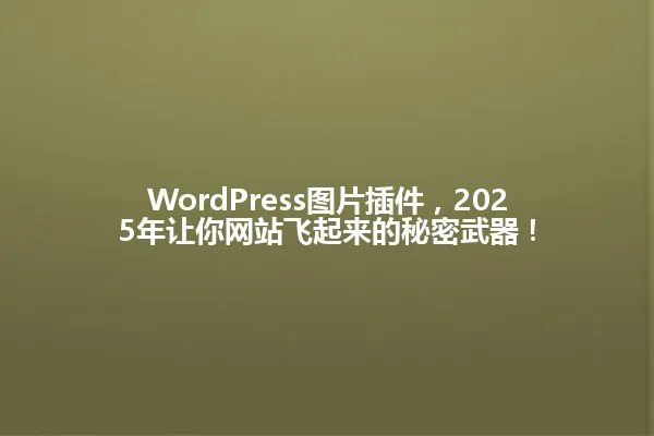 WordPress图片插件，2025年让你网站飞起来的秘密武器！ 一