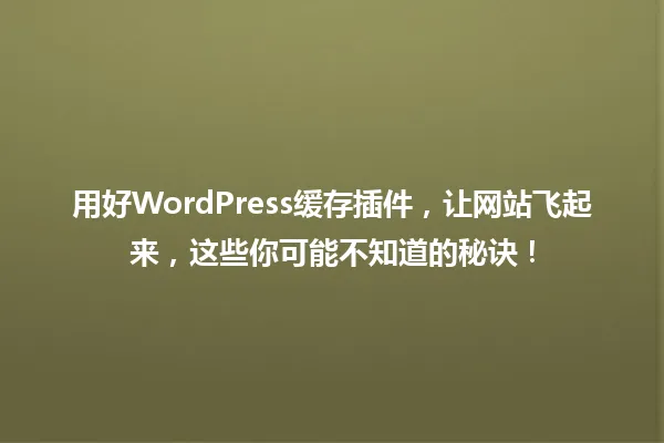 用好WordPress缓存插件,让网站飞起来,这些你可能不知道的秘诀! 一