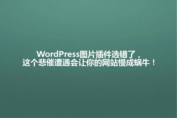 WordPress图片插件选错了,这个悲催遭遇会让你的网站慢成蜗牛! 一
