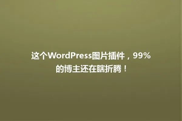 这个WordPress图片插件,99%的博主还在瞎折腾! 一