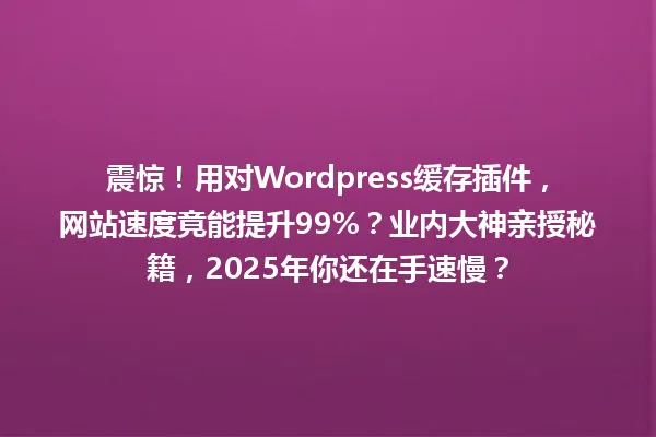 震惊！用对Wordpress缓存插件，网站速度竟能提升99%？业内大神亲授秘籍，2025年你还在手速慢？ 一