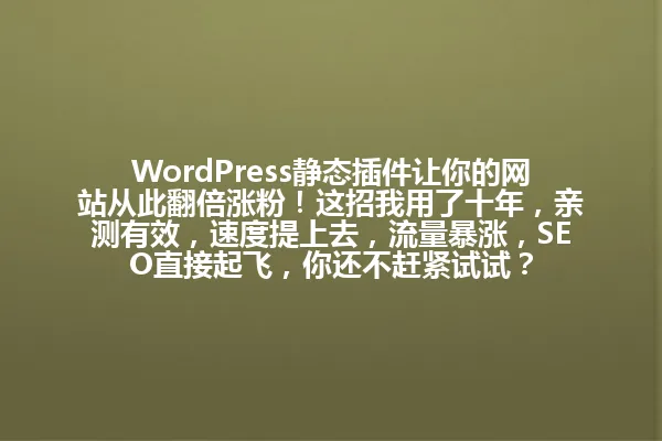WordPress静态插件让你的网站从此翻倍涨粉!这招我用了十年,亲测有效,速度提上去,流量暴涨,SEO直接起飞,你还不赶紧试试? 一