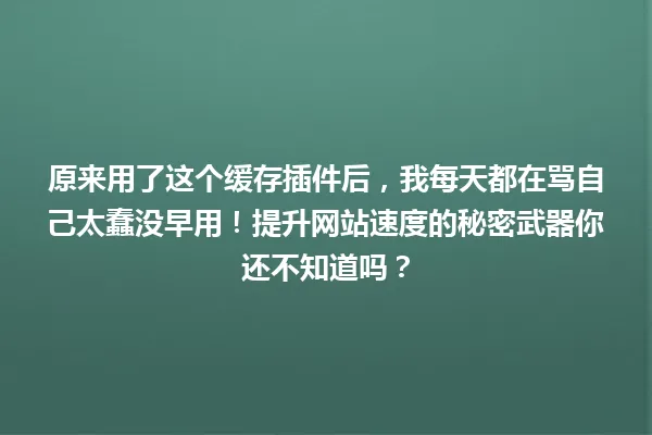 原来用了这个缓存插件后,我每天都在骂自己太蠢没早用!提升网站速度的秘密武器你还不知道吗? 一