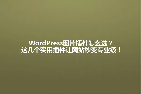 WordPress图片插件怎么选?这几个实用插件让网站秒变专业级! 一