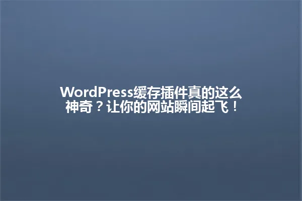 WordPress缓存插件真的这么神奇?让你的网站瞬间起飞! 一