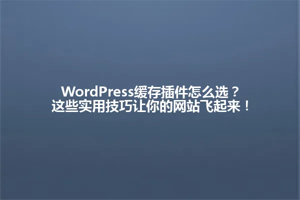 WordPress缓存插件怎么选？这些实用技巧让你的网站飞起来！ 一