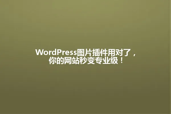 WordPress图片插件用对了,你的网站秒变专业级! 一