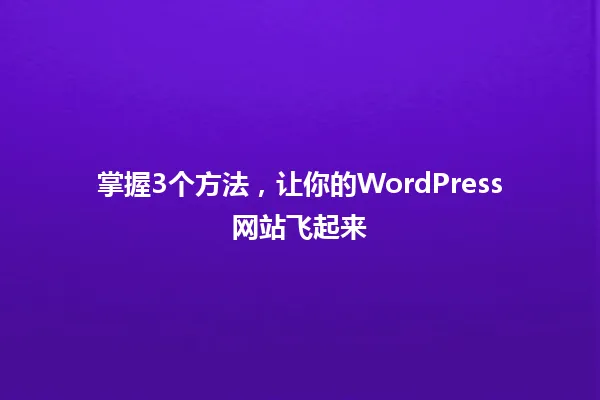 掌握3个方法,让你的WordPress网站飞起来 一