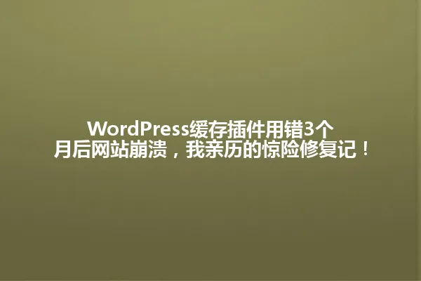 WordPress缓存插件用错3个月后网站崩溃,我亲历的惊险修复记! 一