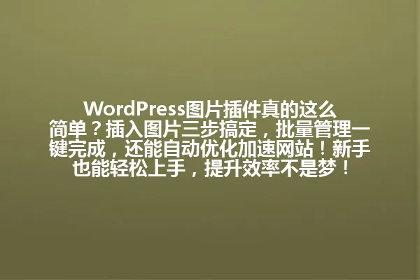 WordPress图片插件真的这么简单?插入图片三步搞定,批量管理一键完成,还能自动优化加速网站!新手也能轻松上手,提升效率不是梦! 一