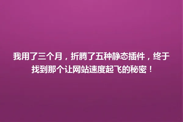 我用了三个月,折腾了五种静态插件,终于找到那个让网站速度起飞的秘密! 一