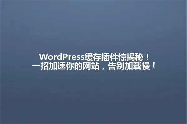 WordPress缓存插件惊揭秘！一招加速你的网站，告别加载慢！ 一
