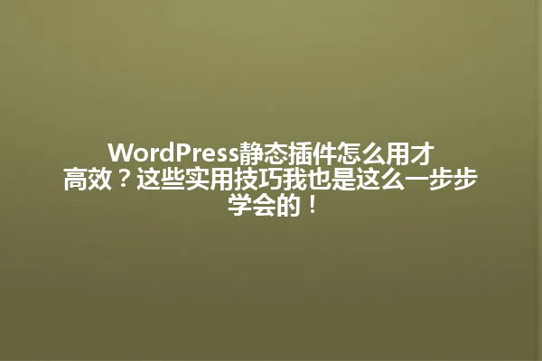 WordPress静态插件怎么用才高效?这些实用技巧我也是这么一步步学会的! 一