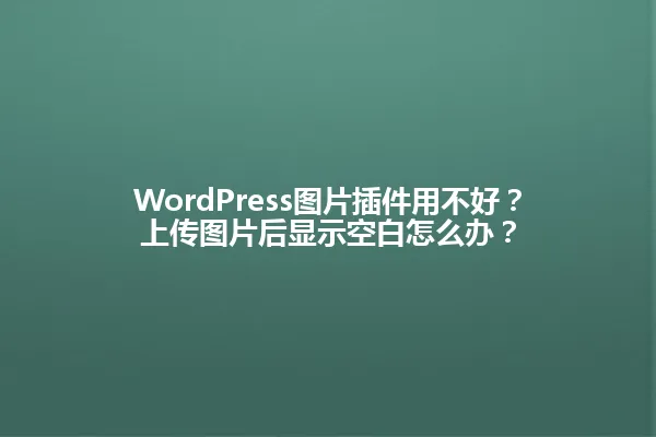 WordPress图片插件用不好?上传图片后显示空白怎么办? 一