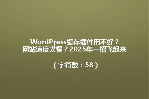 WordPress缓存插件用不好?网站速度太慢?2025年一招飞起来!
(字符数:58) 一
