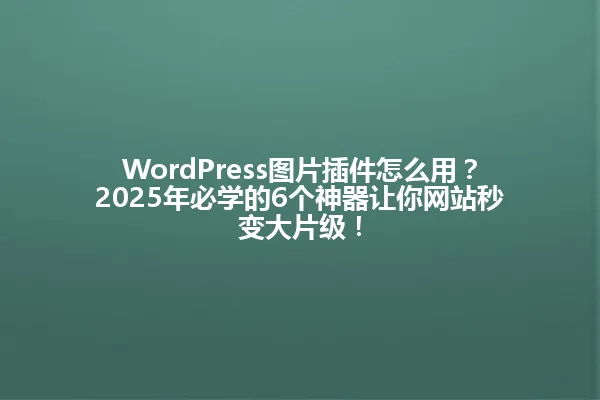 WordPress图片插件怎么用？2025年必学的6个神器让你网站秒变大片级！ 一