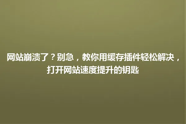 网站崩溃了?别急,教你用缓存插件轻松解决,打开网站速度提升的钥匙 一