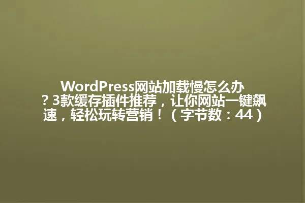 WordPress网站加载慢怎么办？3款缓存插件推荐，让你网站一键飙速，轻松玩转营销！（字节数：44） 一