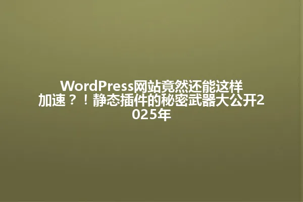 WordPress网站竟然还能这样加速?!静态插件的秘密武器大公开2025年 一