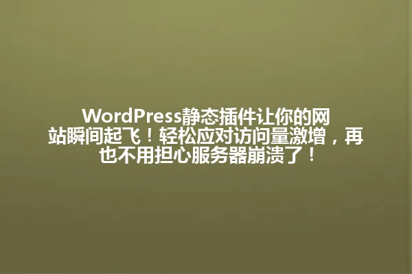 WordPress静态插件让你的网站瞬间起飞!轻松应对访问量激增,再也不用担心服务器崩溃了! 一