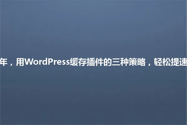 2025年,用WordPress缓存插件的三种策略,轻松提速网站! 一