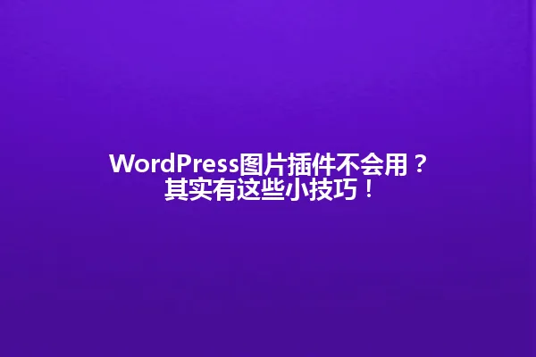 WordPress图片插件不会用?其实有这些小技巧! 一