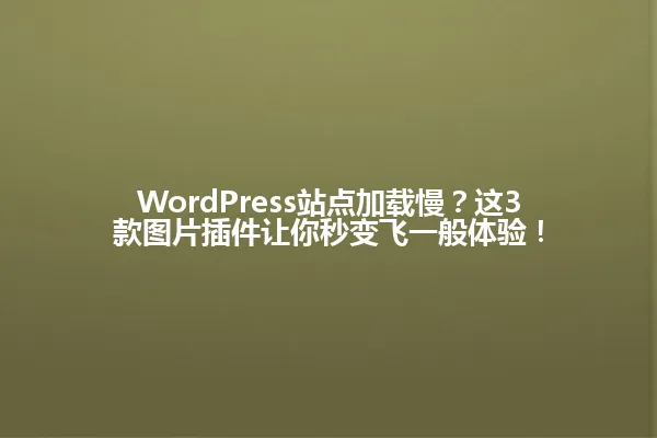 WordPress站点加载慢?这3款图片插件让你秒变飞一般体验! 一