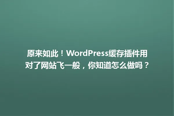 原来如此！WordPress缓存插件用对了网站飞一般，你知道怎么做吗？ 一