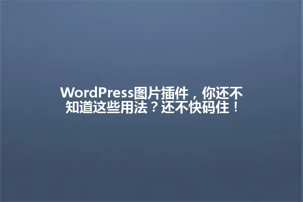 WordPress图片插件,你还不知道这些用法?还不快码住! 一