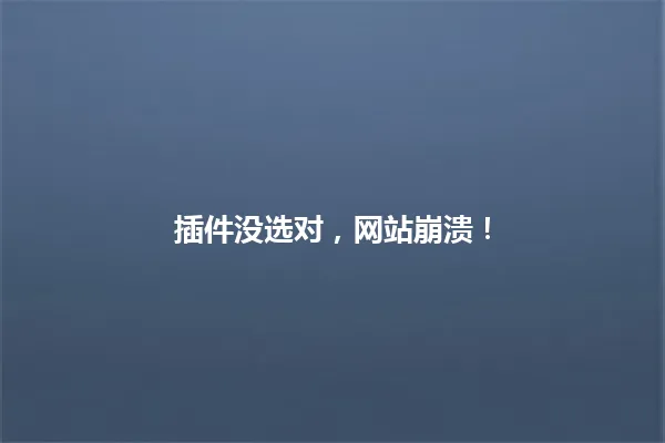插件没选对，网站崩溃！ 一