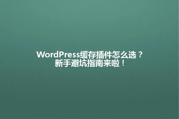 WordPress缓存插件怎么选?新手避坑指南来啦! 一