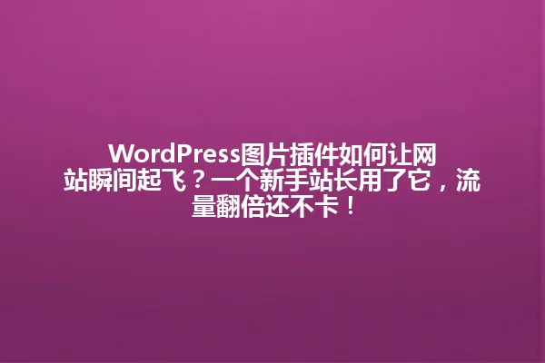 WordPress图片插件如何让网站瞬间起飞？一个新手站长用了它，流量翻倍还不卡！ 一