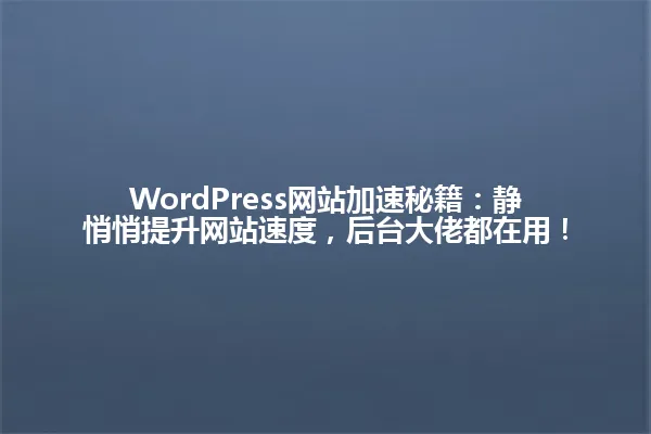 WordPress网站加速秘籍:静悄悄提升网站速度,后台大佬都在用! 一