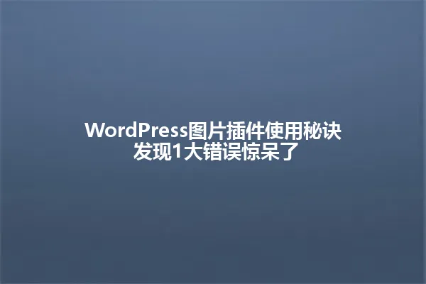 WordPress图片插件使用秘诀 发现1大错误惊呆了 一