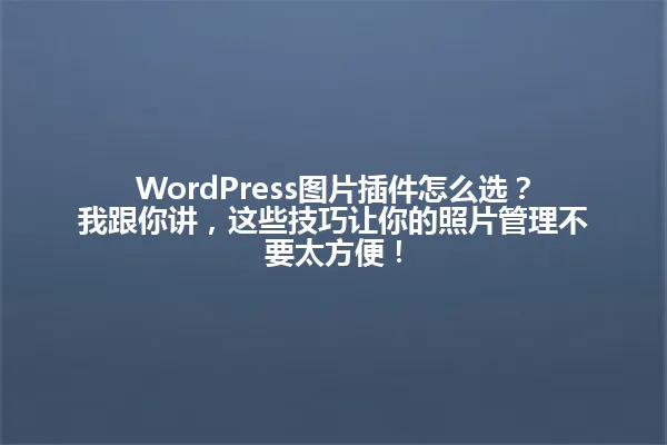 WordPress图片插件怎么选?我跟你讲,这些技巧让你的照片管理不要太方便! 一