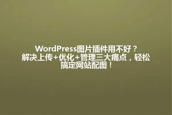 WordPress图片插件用不好?解决上传+优化+管理三大痛点,轻松搞定网站配图! 一