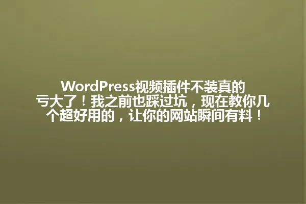 WordPress视频插件不装真的亏大了!我之前也踩过坑,现在教你几个超好用的,让你的网站瞬间有料! 一