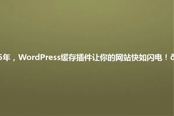2025年,WordPress缓存插件让你的网站快如闪电!🚀 一