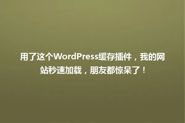 用了这个WordPress缓存插件,我的网站秒速加载,朋友都惊呆了! 一