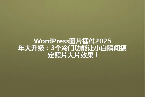 WordPress图片插件2025年大升级:3个冷门功能让小白瞬间搞定照片大片效果! 一