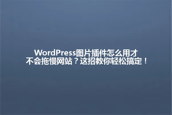 WordPress图片插件怎么用才不会拖慢网站?这招教你轻松搞定! 一